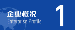 企业概况